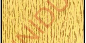 PVC Plastic Ceiling Tiles