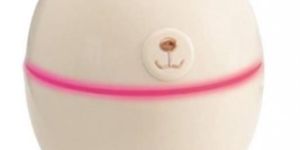 Polar Bear Shaped Portable Humidifier