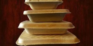 Eco Friendly Disposable Plates