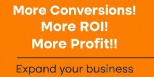 Pay Per Click Service