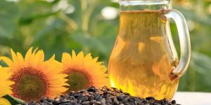 Sunflower Oil