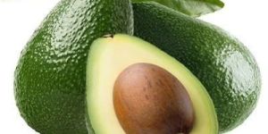 Fresh Avocado
