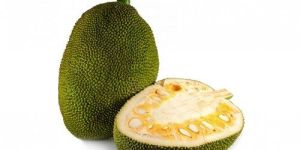 Fresh Raw Jackfruit