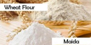 Maida Flour
