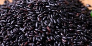 Black Rice