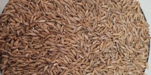 Bamboo Rice