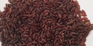 Organic Kattuyanam Rice