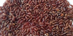 Poongar Rice