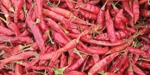 Teja Red Chilli