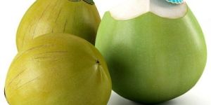 Fresh Tender Coconut