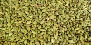 Cardamom