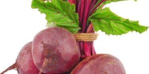 Fresh Beetroot