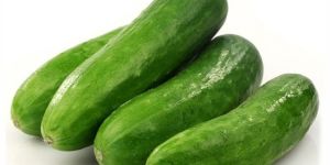 Fresh Cucumber