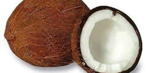 Fresh Brown Coconut