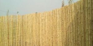 Bamboo Boundary Wall
