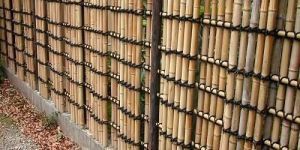 Natural Bamboo Fence