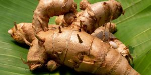 Organic Black Turmeric