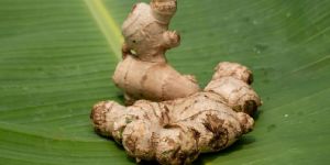 Organic Ginger