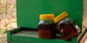 Organic Honey