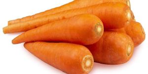 Fresh Carrot