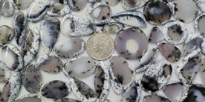 Dendrite Opal Gemstone