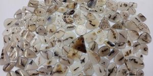 Scenic Dendritic Agate Gemstone