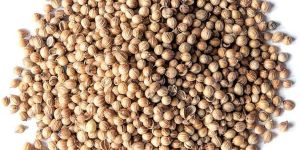 Coriander Seeds
