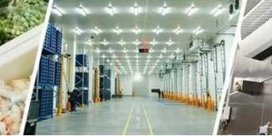 Cold Storage Services