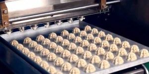 Cookies Making Plant