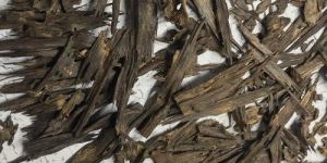 Agarwood Chips