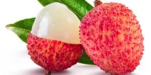 Fresh Litchi