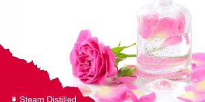 Steam Distilled Rose Water