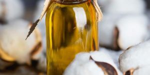 Cotton Seed Oil