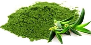 Aloe Vera Powder