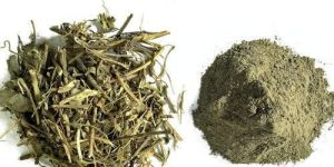 Bhringraj Powder
