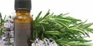 Eucalyptus Oil