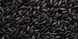 Black Rice