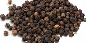 Black Pepper Seeds