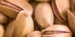 Bulk Turkish Pistachio Nut