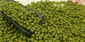 Green Mung Beans