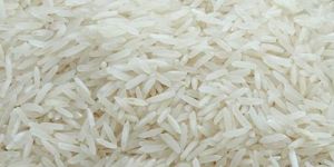 White Rice