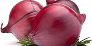 Fresh Red Onion