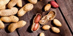 Ground Nuts