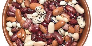 Mixed Kidney Beans