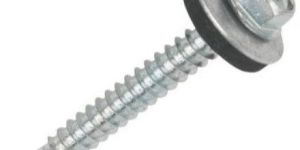 ss304 Lag Screw
