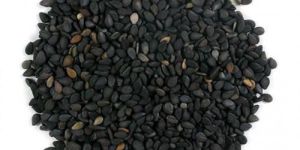 Black Sesame Seed