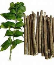 Neem Stick