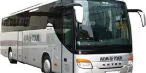 Domestic Travel Agency