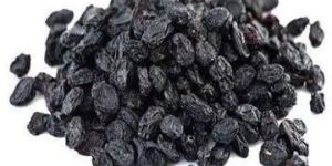 Black Raisin