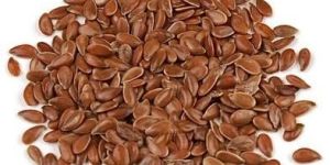 Flax Seeds